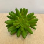 Suculenta Artificial 16cm