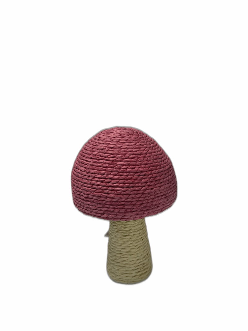 Pácoa Cogumelo Decorativo 22CM