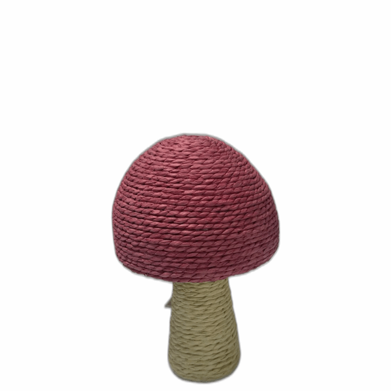 Pácoa Cogumelo Decorativo 22CM